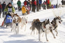 Lenk 2012 SM